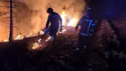 Incendie en Lozère : 100 hectares détruits, les pompiers maîtrisent le feu après 7 heures de lutte