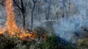Incendie majeur en Lozère : 30 hectares déjà ravagés près d'Altier