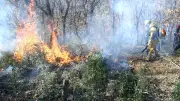 Incendie à Saint-Léger-de-Peyre : cinq hectares de végétation ravagés par les flammes
