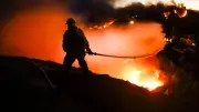 Incendies de Los Angeles : un chauffeur Uber fan de l'OM arrêté
