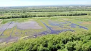Innovations économiques dans le Gard : entreprises engagées pour un développement durable