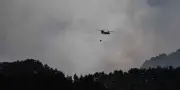Japon : incendies de forêts dans le nord, 3 200 personnes évacuées