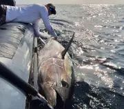 Julien Fesseau, moniteur guide de pêche, partage sa passion au Salon de Royan