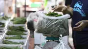 Kratom : un antidouleur interdit en France mais légal aux États-Unis