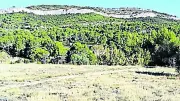 La Bambée Bauzilloise : un nouveau trail au cœur de la garrigue héraultaise