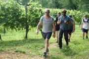 La Caminada des vignes : randonnée et dégustation au domaine Montesquiou