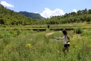 À La Celle, le jardin à papillons du domaine de l’Escarelle fête ses dix ans d’aventure naturaliste