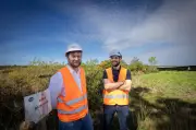 La centrale solaire de Cestas, plus vaste de France, modèle d'intégration écologique