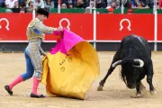 La corrida de La Brède fait son retour en 2026 après une année blanche en Gironde