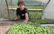 La Ferme de Quincé à Rennes : Un Oasis Agricole Urbain au Cœur de la Ville