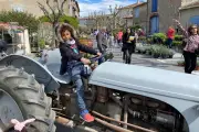 La Foire aux Plants du Plan-de-la-Tour : 16 ans de tradition horticole et de terroir