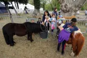 La Foire de Brignoles, centenaire et incontournable, ouvre ses portes pour neuf jours d'animation