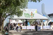 La Foire de Brignoles se réinvente pour célébrer l'agriculture et attirer les foules