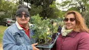 La Fête des jardiniers amateurs illumine Bagnols-sur-Cèze malgré la météo