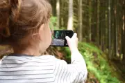 La majorité numérique s'impose face aux risques des réseaux sociaux pour les jeunes