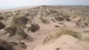 La Maïre à Sérignan-Plage : un havre de paix pour les amoureux de la nature
