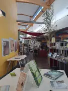 La médiathèque Jean-Cocteau se transforme en forêt ludique pour une immersion familiale