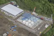 La ministre de l'Écologie s'oppose au projet de ferme-usine de saumons en Gironde