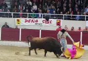 La Porte du Béarn accueille les étoiles montantes de la novillada internationale