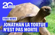 La tortue Jonathan, 193 ans, cible d'une arnaque aux cryptomonnaies après une fausse annonce de décès