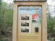 La Ville du Teich condamnée pour ses panneaux bilingues français-anglais