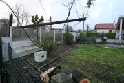 Landes : 1 200 poteaux encore à réparer après les tempêtes, retour à la normale espéré pour mai