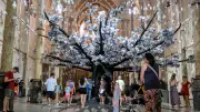 L’arbre aux mains de JR grandit au Carré Sainte-Anne à Montpellier