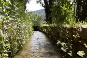 Le Béal des Moulins de Draguignan : un canal historique du XIIIe siècle toujours vital