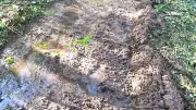 Le canal des Augustins débarrassé de son tuf par des bénévoles dévoués