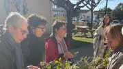Le centre socioculturel Marcel-Pagnol lance un nouveau concept d'atelier jardinage enrichi
