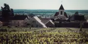 Le Clos de Tart, propriété de François Pinault, demeure le joyau incontesté de la Bourgogne