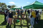 Le festival Territoires Sauvages célèbre les mondes aériens au Teich