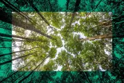 Le Fil Vert : l'anti-émission qui révèle les réalités environnementales