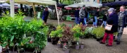 Le marché aux fleurs d'Alès change d'emplacement tout en restant en centre-ville