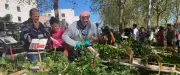 Le marché aux fleurs de Nîmes attire la foule pour ses plants locaux en ce lundi de Pâques