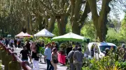 Le marché aux fleurs de Sommières attire la foule sous le soleil printanier