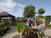 Le Marché aux Fleurs de Tonneins revient avec succès pour célébrer nature et artisanat local
