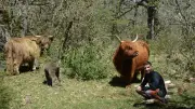 Le parc animalier du Theil ouvre sa nouvelle saison avec des naissances et nouveautés
