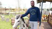 Le parc Otimum Loisirs rouvre avec El Rancho et Dino Island à Gallargues