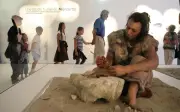 Le Pôle International de la Préhistoire des Eyzies : 15 ans d'histoire et d'évolution