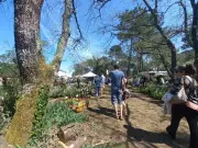 Le Printemps de Bourgailh célèbre la renaissance écologique d'une ancienne décharge