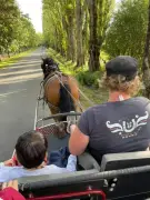 Le Ranch du Saut du Loup propose des activités équestres et un escape game pour Pâques