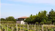 Le restaurant Côté Mas à Montagnac décroche le Bib Gourmand du Guide Michelin