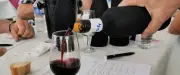 Le Salon du Vin et du Terroir de Mende revient pour une 17e édition riche en découvertes