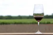 Le vin dévoilé : comment deux experts bordelais révèlent ses multiples facettes de valeur