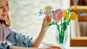 LEGO Botanicals : un bouquet printanier à moins de 20 € plébiscité