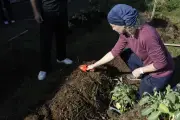 Les 48 heures de l'agriculture urbaine de retour à Bordeaux pour célébrer la nature en ville