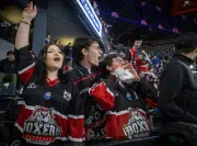 Les Boxers de Bordeaux en finale de Ligue Magnus face à Grenoble pour un premier titre