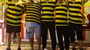 Les Cornards de Saint-Rome-de-Tarn : Victimes de leur propre succès festif