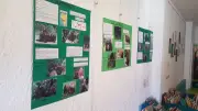 Les enfants de Saint-Vincent exposent leur travail sur les grands singes à la bibliothèque